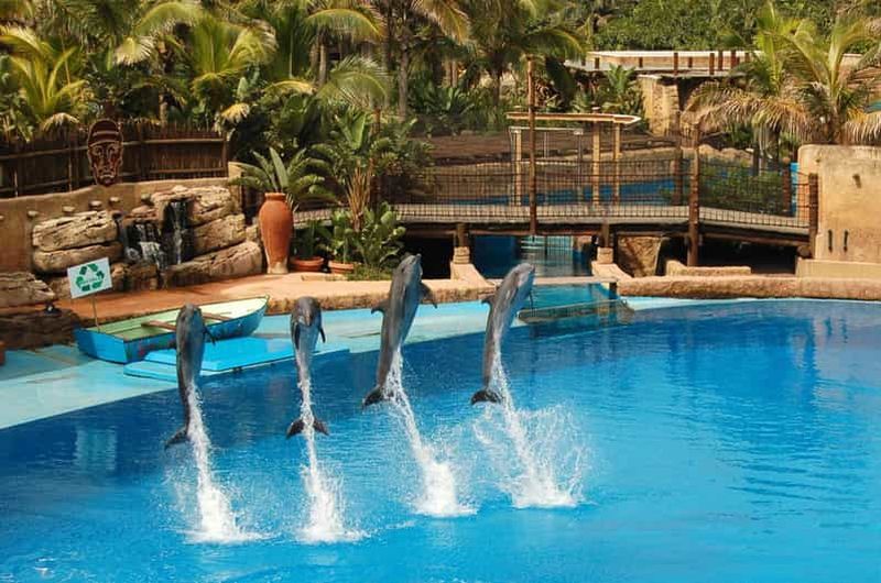 Billet Durban : visite d'une journée à l'Ushaka Marine World