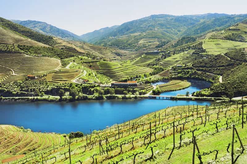 Billet Porto : visite de la vallée du Douro avec 2 vignobles, déjeuner et croisière fluviale