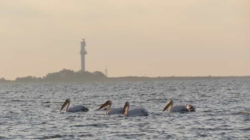 Billet Explorer la magie du delta du Danube à travers des objectifs photographiques