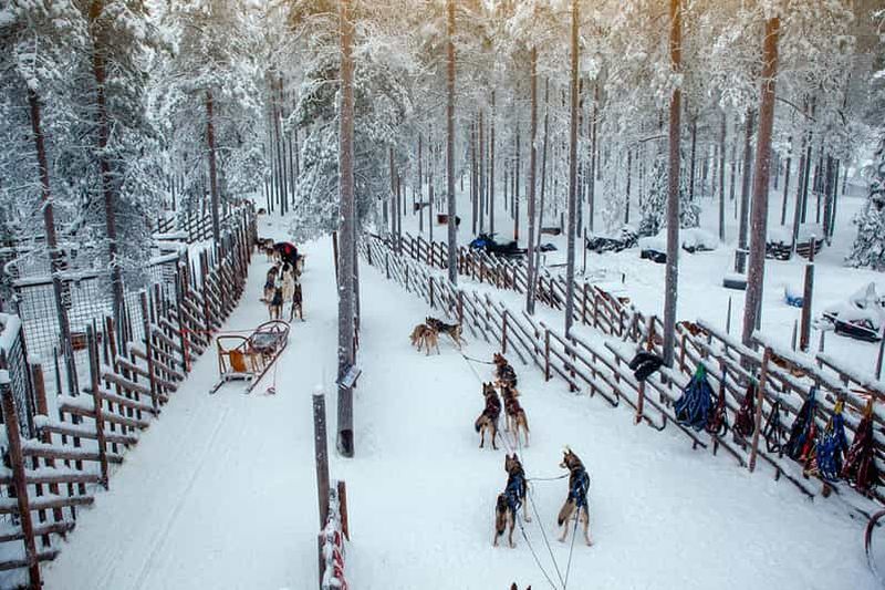Billet Rovaniemi : balade en traîneau tiré par des rennes et des huskies avec le village du Père Noël