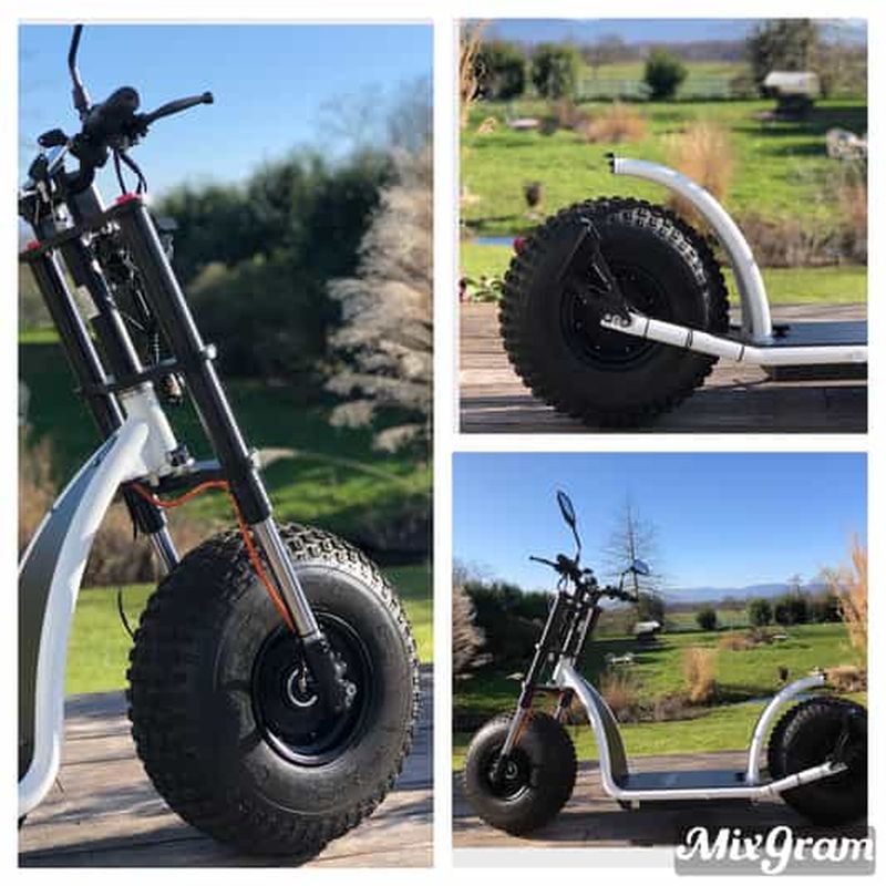 Billet Baden-Baden : visite guidée privée VIP des vignobles en scooter KNUMO