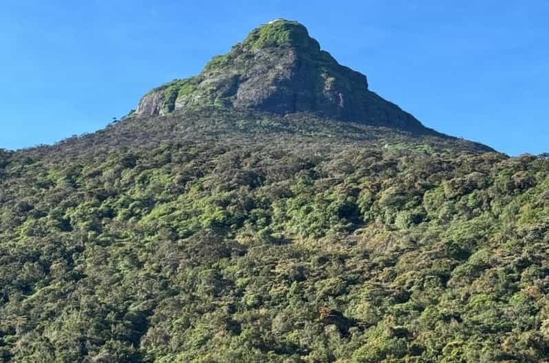 Billet Depuis Kandy : randonnée guidée épique tout compris au pic Adams