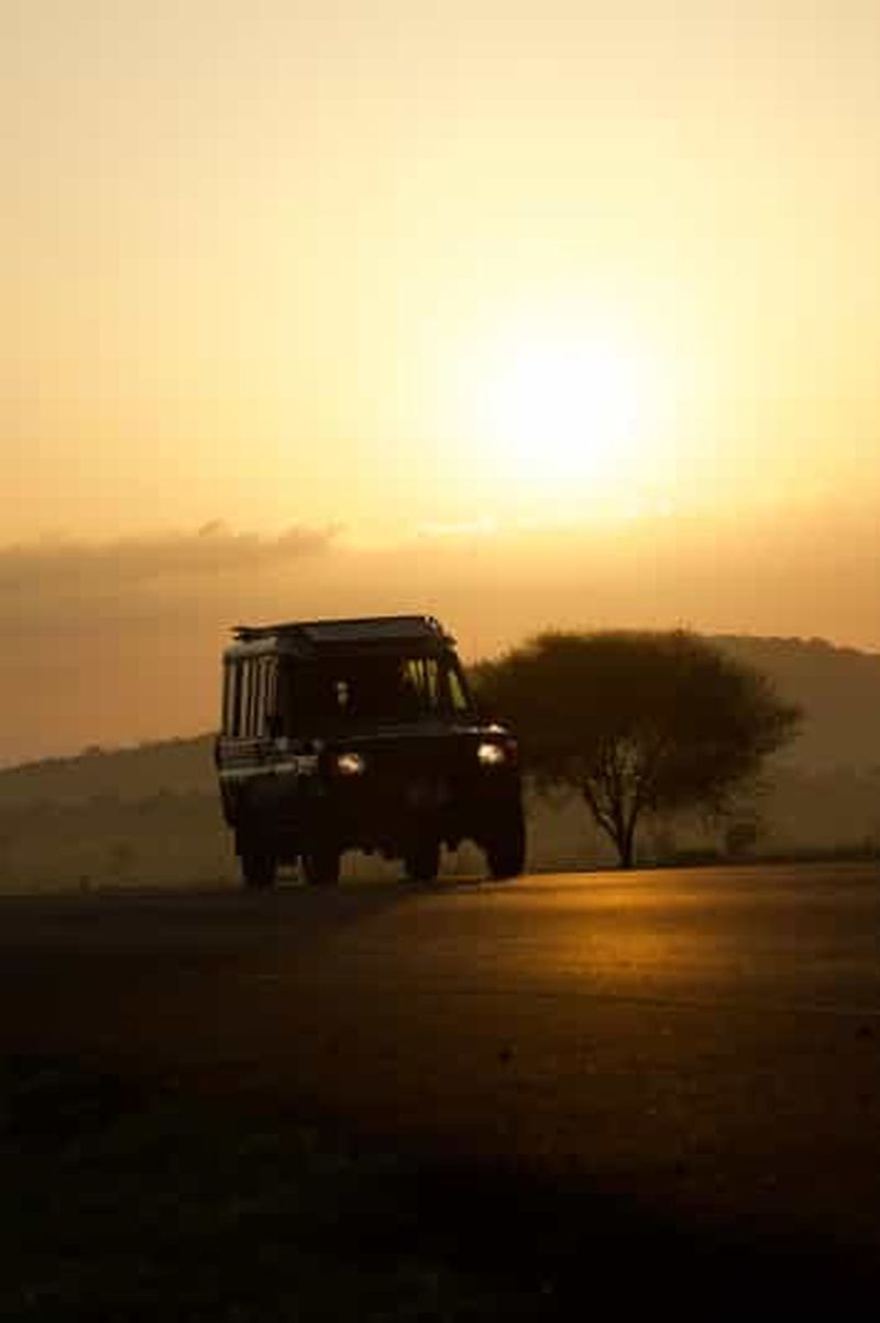 Billet Arusha : safari économique de 5 jours dans le parc national du Serengeti