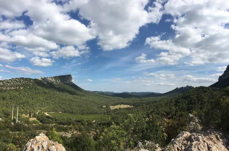 Billet Pic Saint-Loup : Visite d'une jounée sur le thème du vin et de l'olive