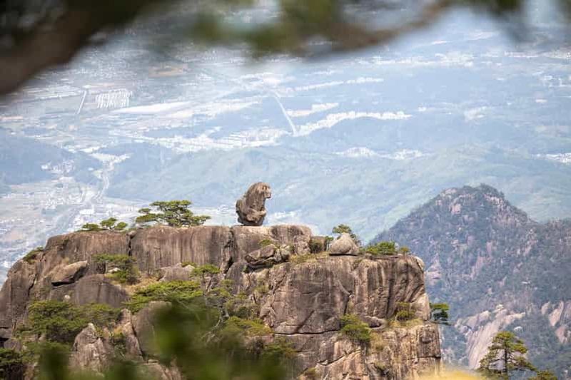 Billet Huangshan : excursion au sommet de la montagne avec téléphérique et prise en charge