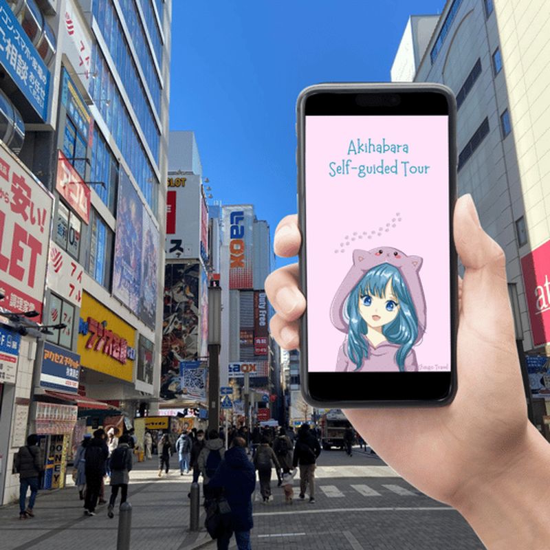 Billet Akihabara : visite guidée avec une brochure spéciale