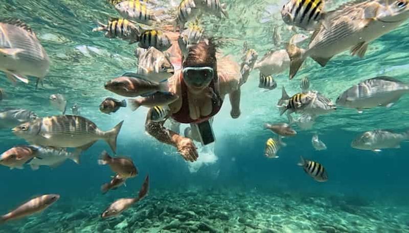 Billet Carthagène : Excursion aux îles du Rosaire et à Playa Blanca avec plongée avec tuba ou aquarium