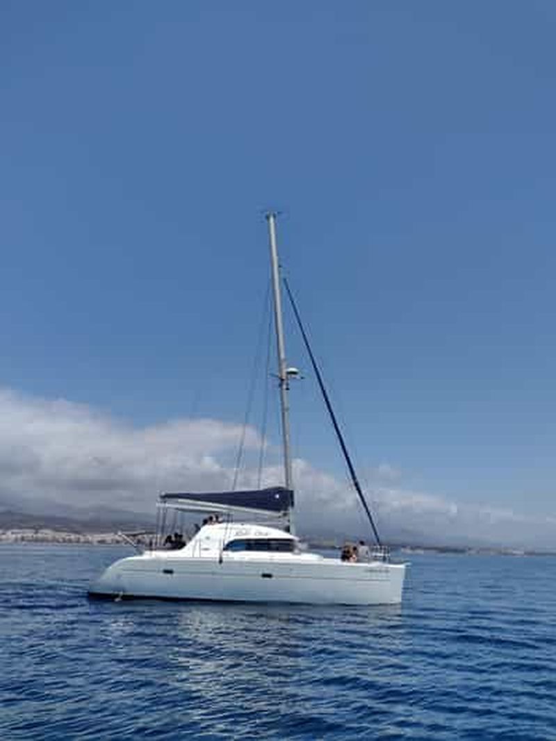 Billet Observation des dauphins à Estepona