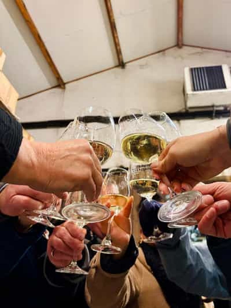 Billet Haye-Fouassière : Visite et dégustation de vin d'un domaine familial