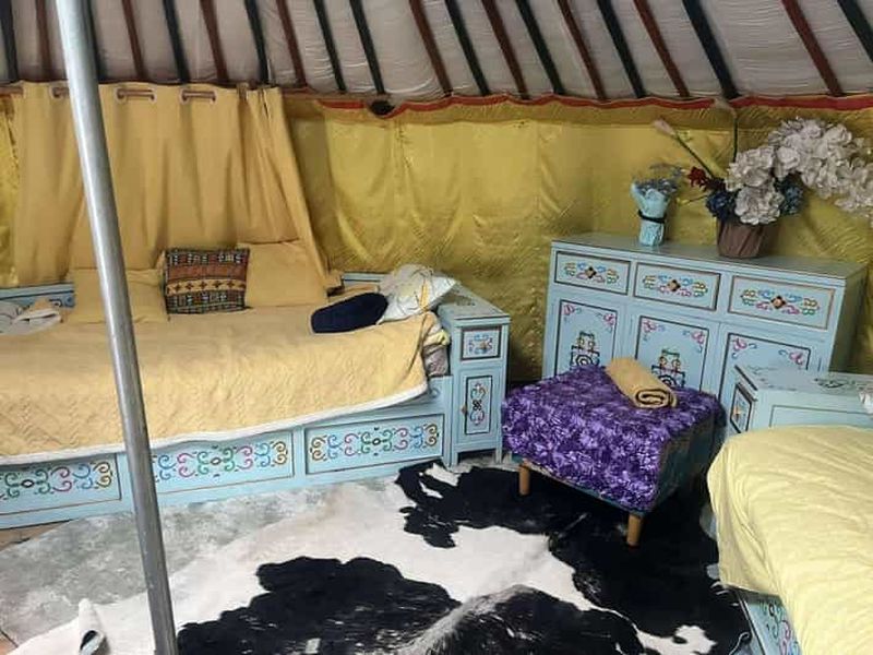 Billet Excursion de deux jours au parc national de Khustai Nuur et Terelj