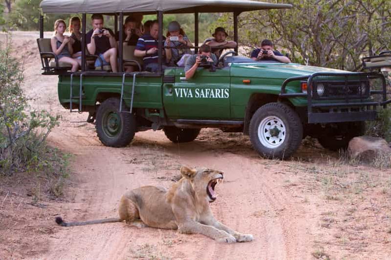 Billet Johannesburg : safari classique de 3 jours dans le parc national Kruger