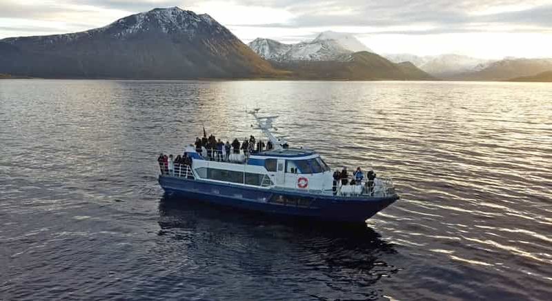 Billet Tromsø : safari d’observation des baleines et des orques – Formule tout compris (50 personnes maximum)