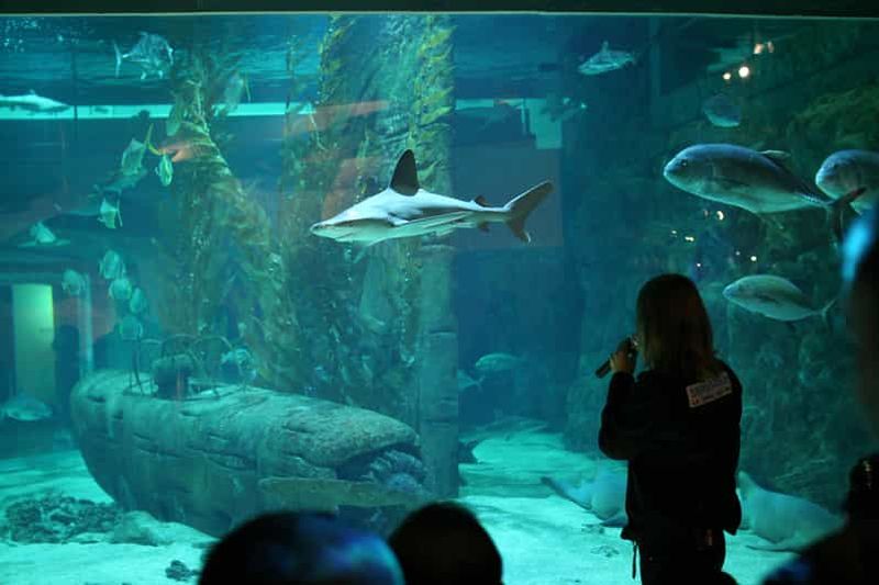 Billet Le Grau-du-Roi : billet coupe-file pour le Seaquarium