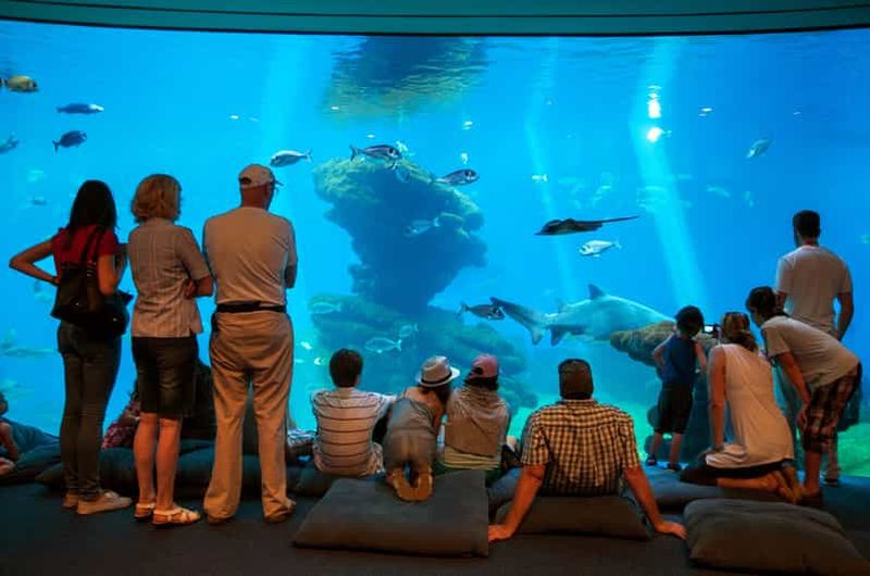 Billet Majorque : Palma Aquarium avec transferts, guide et entrée rapide