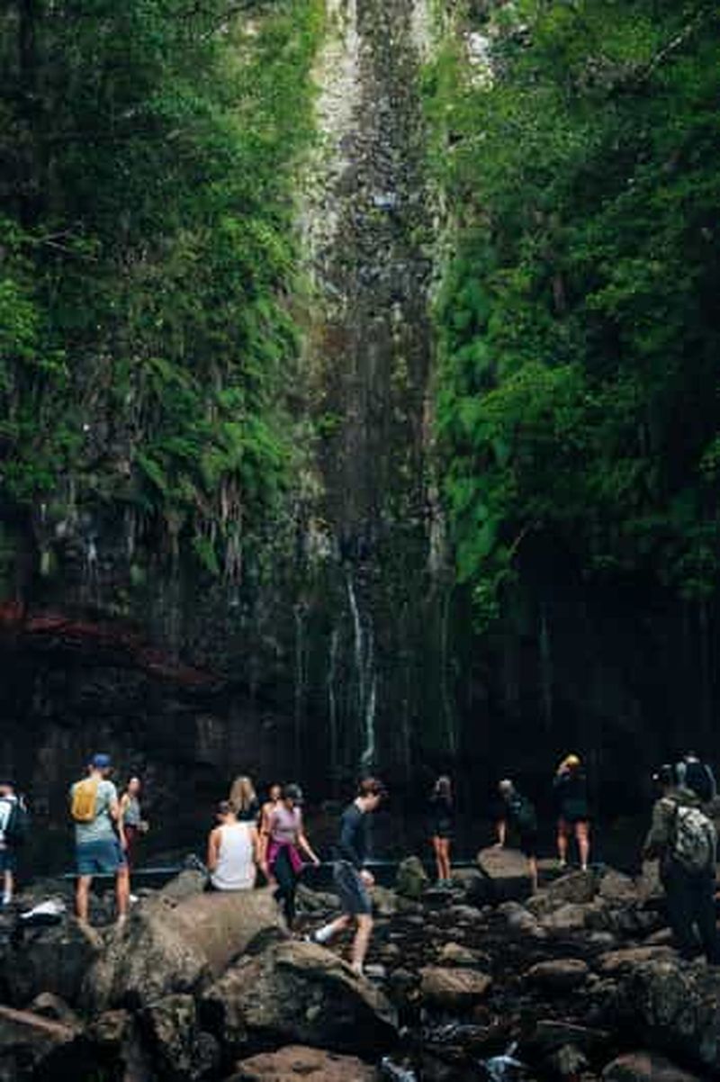 Billet Rabaçal : transfert pour la randonnée des 25 fontaines et Risco Levada