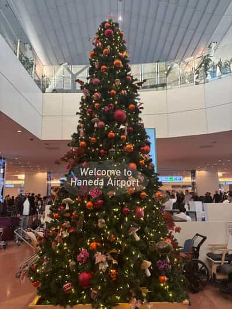Billet Aéroport d'Haneda : transfert privatif en voiture de luxe et service d'accueil