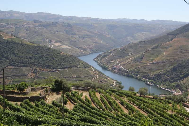 Billet Vallée du Douro : deux caves, croisière et déjeuner depuis Porto
