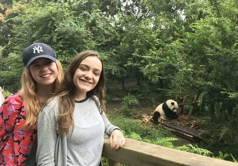 Billet Visite d'une journée à Chengdu : centre de recherche sur les pandas et grand Bouddha de Leshan
