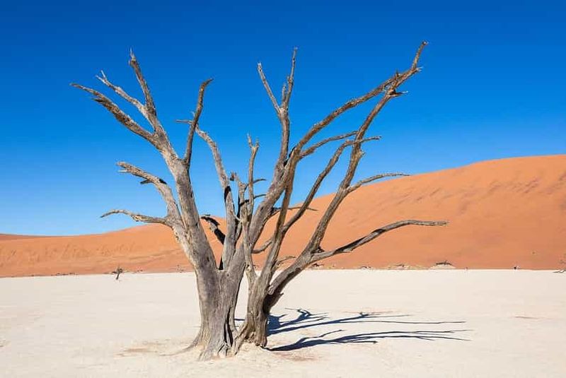 Billet Depuis Windhoek : Circuit de 3 jours à Sossusvlei en navette partagée