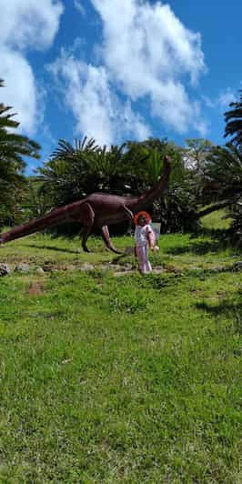 Billet Le Cap : randonnée à l'est de la montagne de la Table jusqu'aux jardins de Kirstenbosch