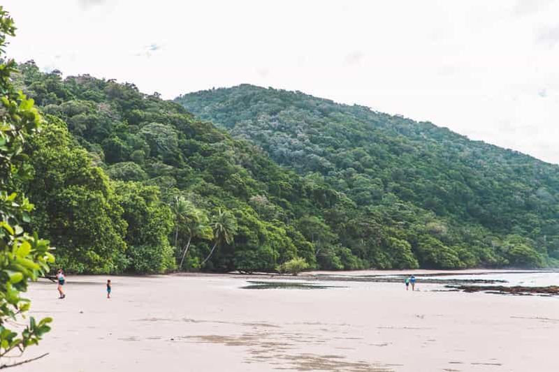 Billet Cairns : Visite Premium de Cape Tribulation et de la forêt tropicale de Daintree