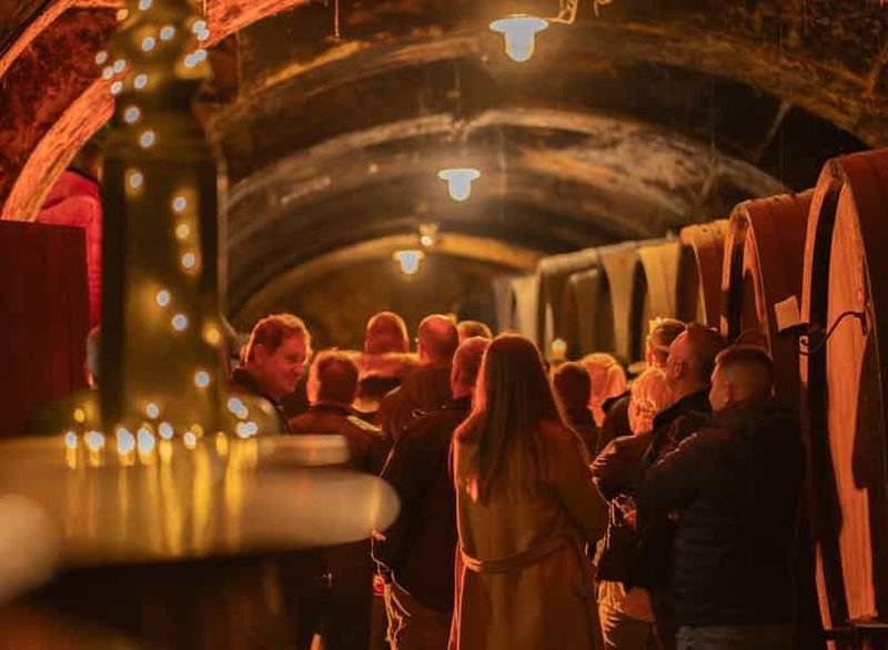 Billet Maribor : Visite de la cave à vin Vinag avec dégustation de vins et collations