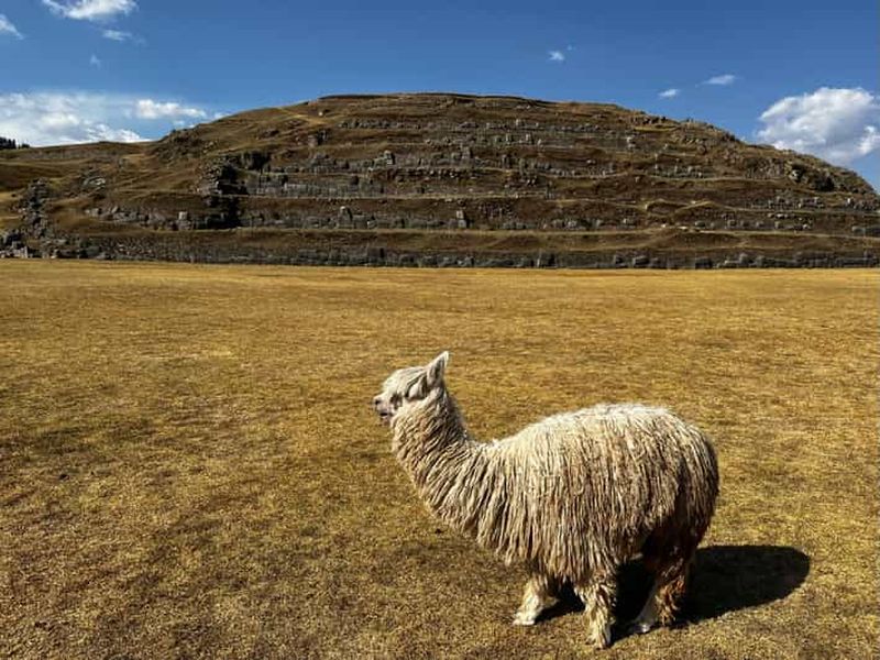 Billet Depuis Cusco : visite de Sacsayhuaman, Tambomachay, Q'enqo et Puca Pucara