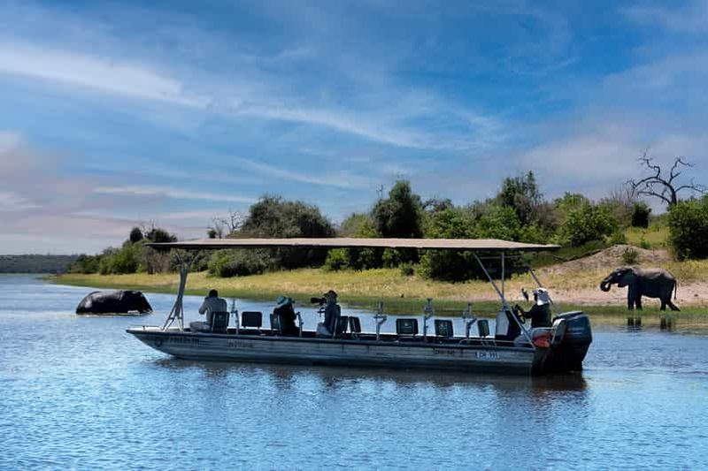 Billet Chutes Victoria/Kasane : excursion au parc national de Chobe