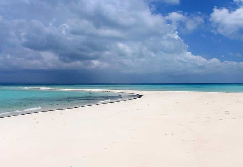 Billet Au départ d'Utende : excursion de plongée avec tuba sur le banc de sable de Marimbani avec barbecue