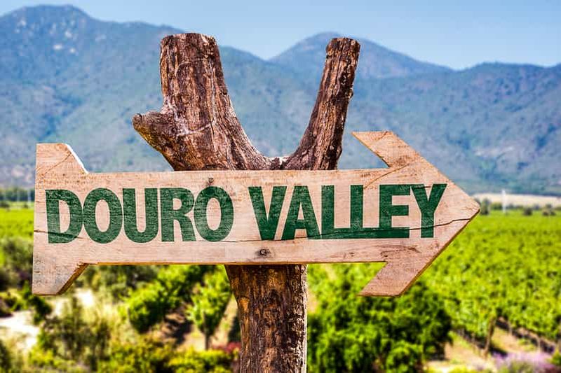 Billet Depuis Porto : Vallée du Douro avec tour en bateau, dégustation de vin et déjeuner