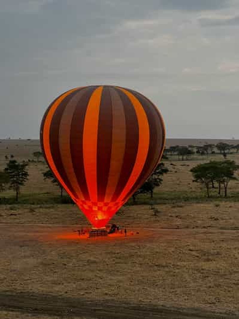 Billet Serengeti : vol en montgolfière avec petit-déjeuner traditionnel et champagne