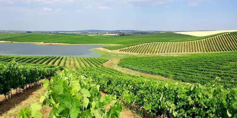 Billet Lisbonne : excursion d'une journée au parc naturel d'Arrábida, à Setúbal et à Azeitão