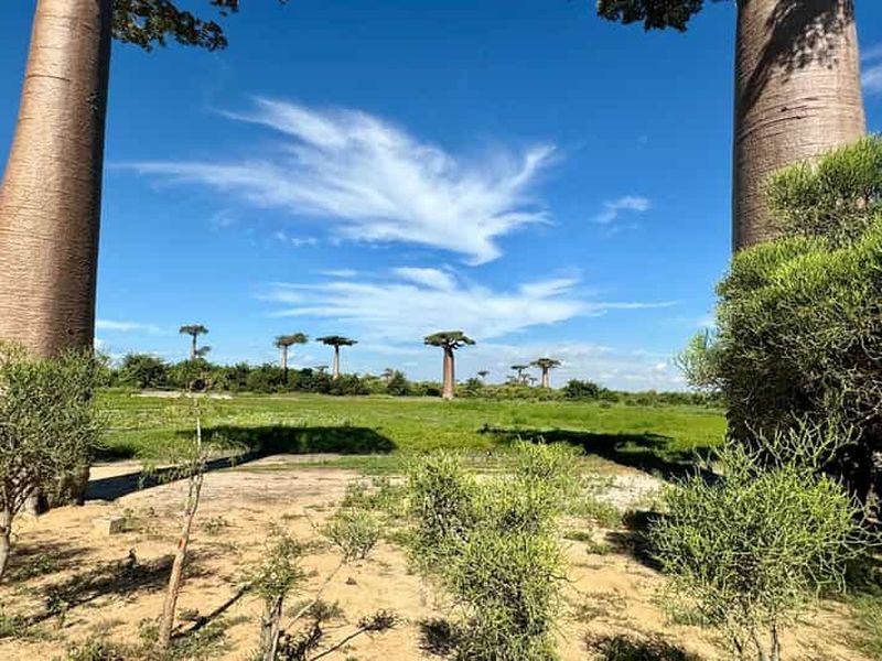 Billet 10 jours de découverte de l'unicité de Madagascar