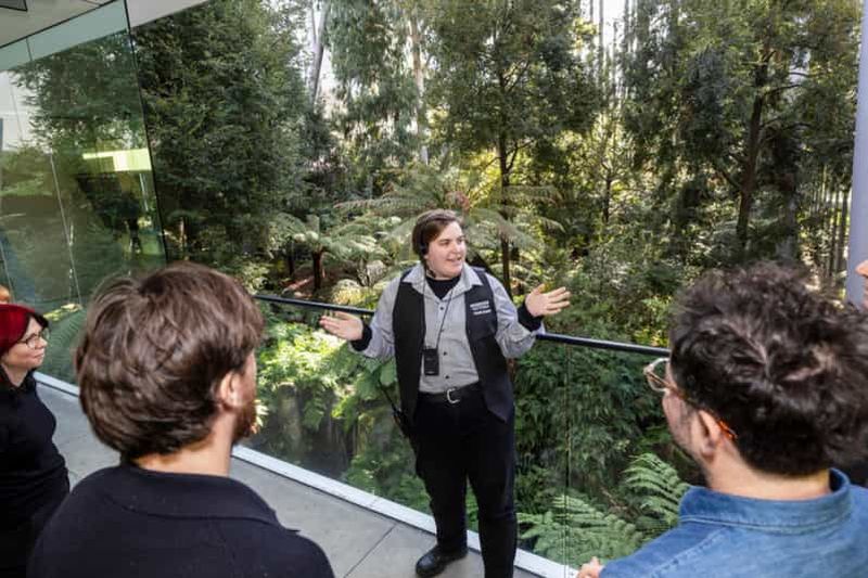 Billet Melbourne : visite guidée du musée de Melbourne avec billet d'entrée