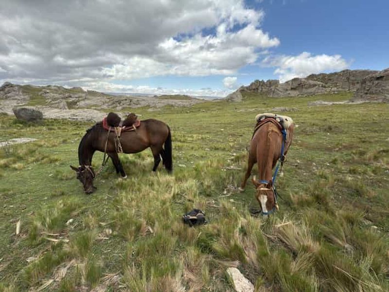 Billet Depuis Cordoue : randonnée à cheval en haute montagne avec déjeuner
