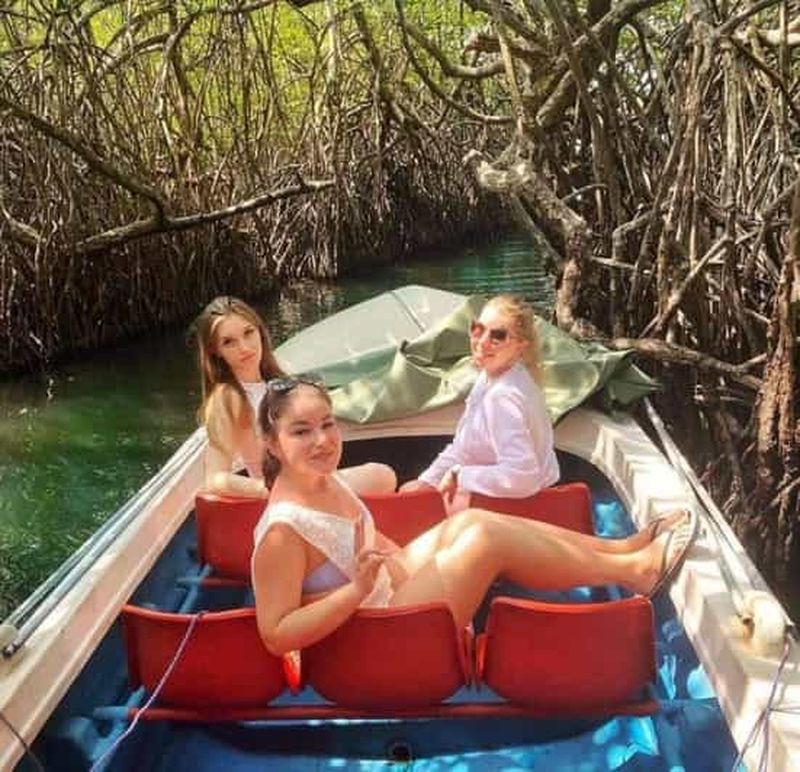 Billet Colombo, fort de Galle, safari en bateau, tortues, visite de groupe