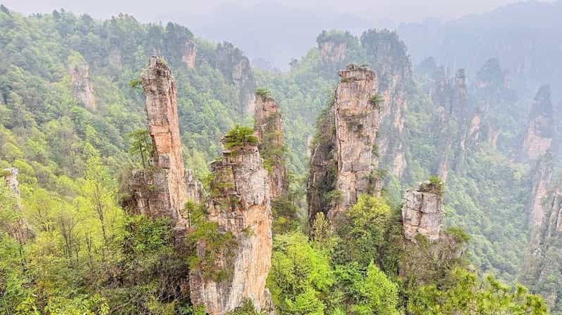 Billet Zhangjiajie : visite privée VIP d'une journée dans le parc forestier national