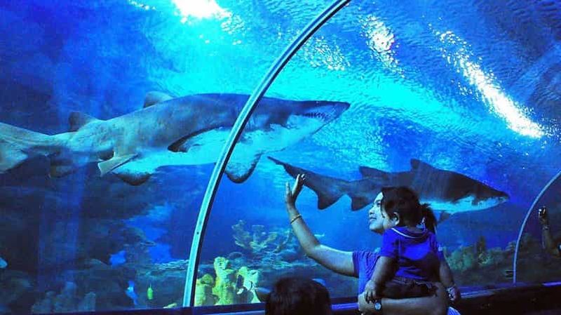 Billet Kuala Lumpur : billet d'entrée à Aquaria KLCC