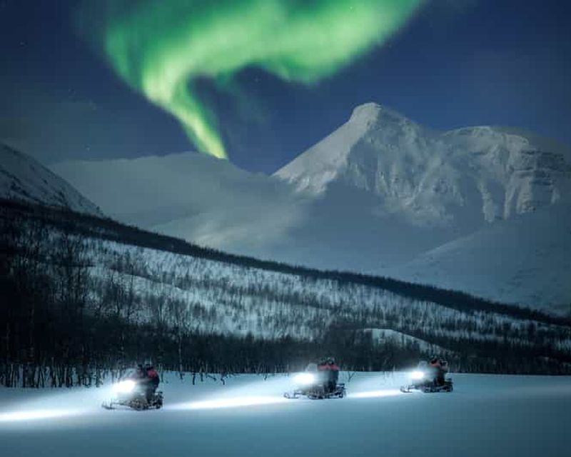 Billet Au départ de Tromsø : Excursion nocturne en motoneige au Camp Tamok