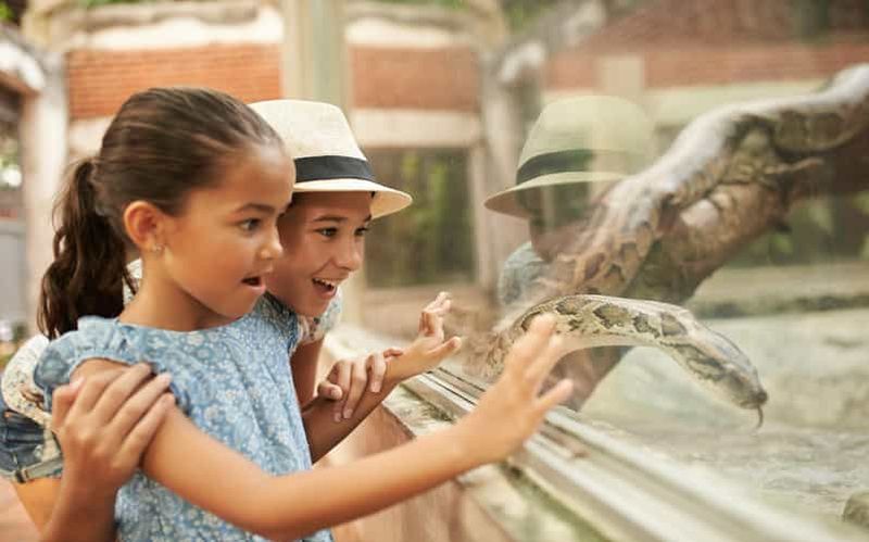 Billet Zoo de Dublin : Billets coupe-file avec transferts privés