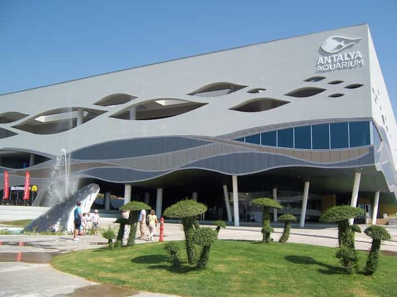 Billet Depuis la ville de Side : Excursion d'une journée à l'aquarium d'Antalya