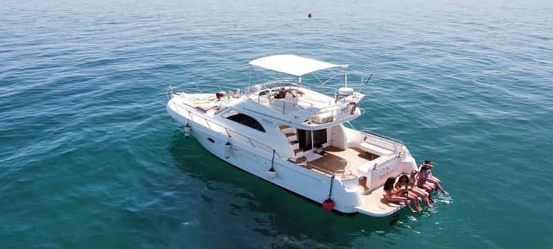 Billet Dauphins et couchers de soleil magiques : une expérience exclusive à Marbella