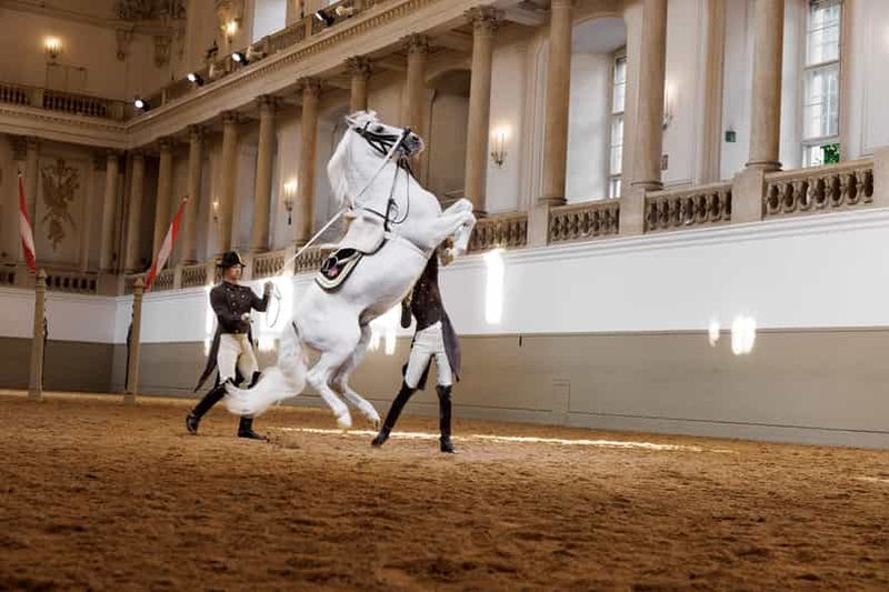 Billet Vienne : spectacle de 45 minutes de l'école espagnole d'équitation