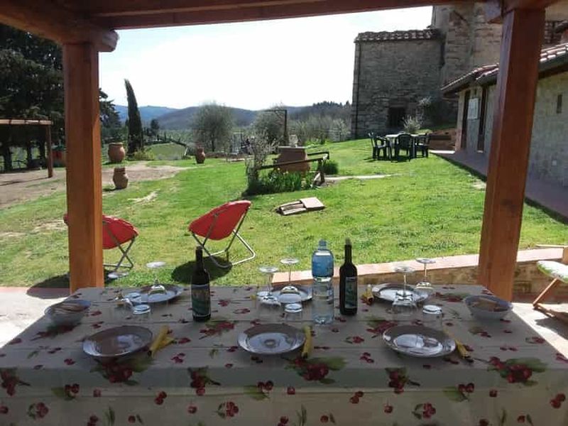 Billet Greve in Chianti : visite du vignoble avec dégustation de vin et repas