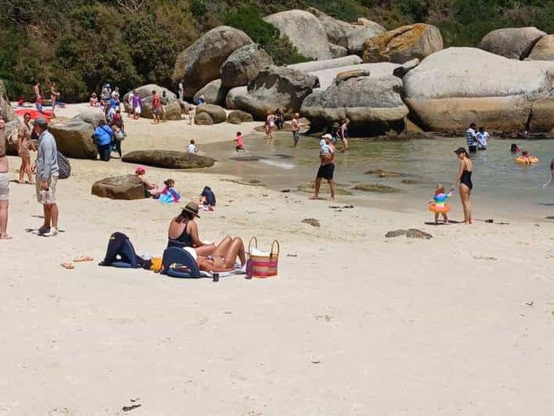 Billet Journée à la plage de Boulder et observation des manchots, demi-journée