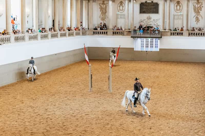 Billet Vienne : Formation à l'école d'équitation espagnole