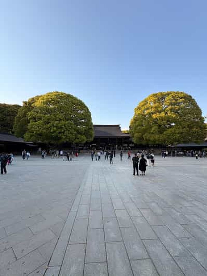 Billet Tokyo : visite à pied guidée du sanctuaire Harajuku et Meiji Jingu