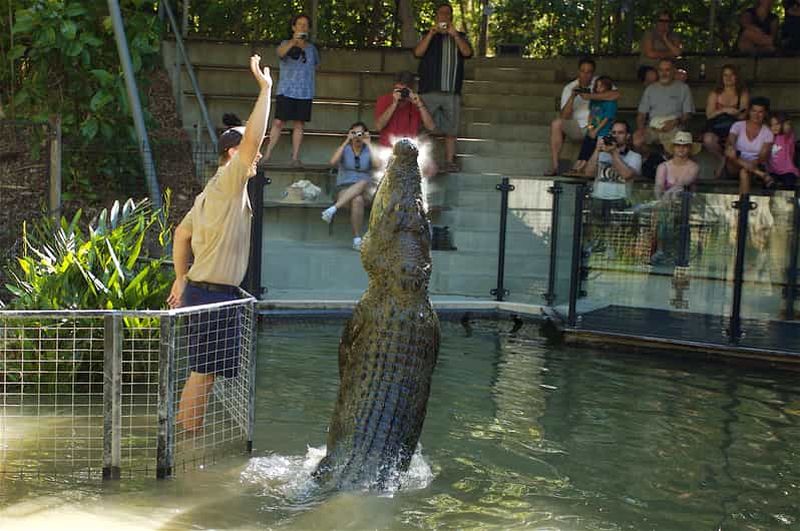 Billet Kuranda et Hartley's Crocodile Adventures