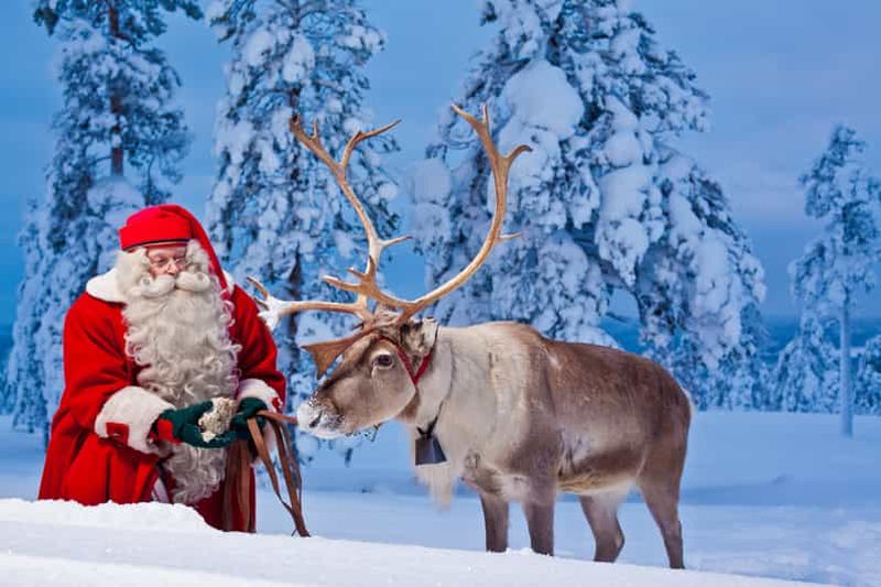 Billet Rovaniemi : Village du Père Noël et Cercle Arctique