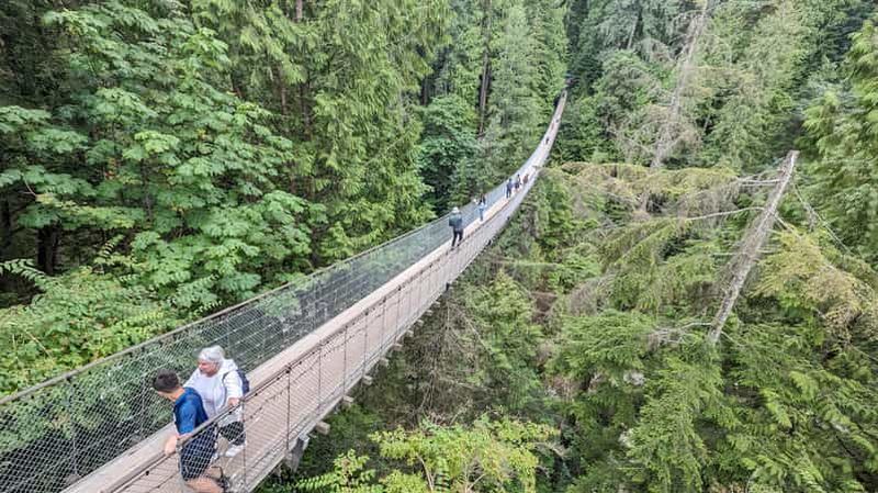 Billet Pont suspendu de Capilano, Canyon Lights et 4 temps forts